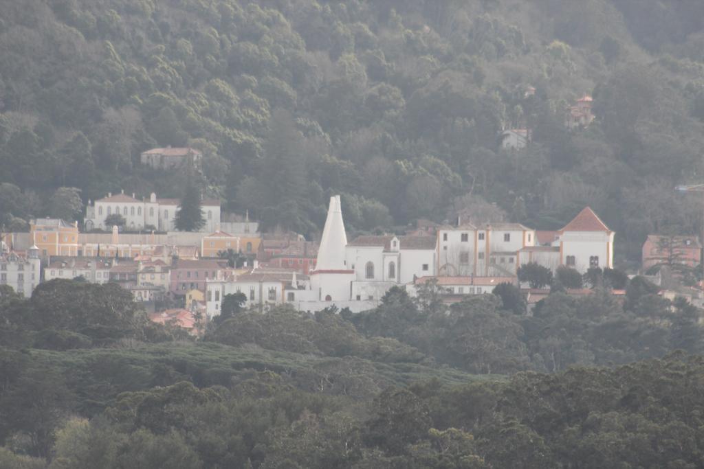 Cozy Green Apartment Sintra Dış mekan fotoğraf